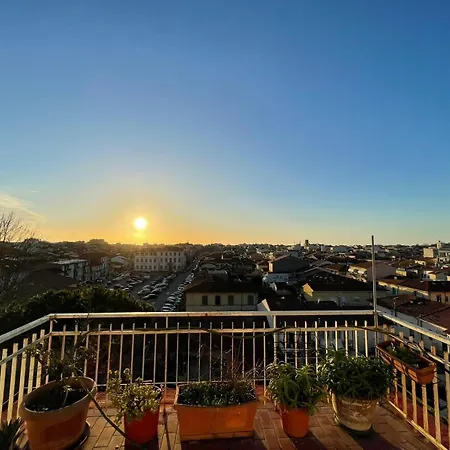 Dandelion Stazione Fs *