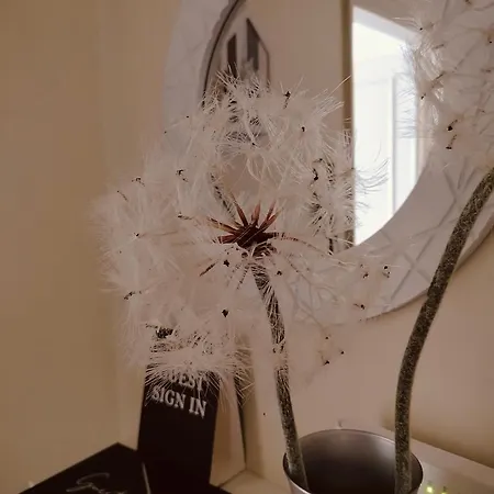 Dandelion Stazione Fs Апартаменти