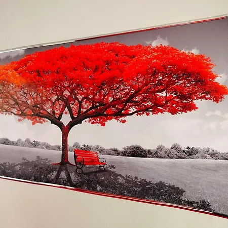 Dandelion Stazione Fs * В'яреджо