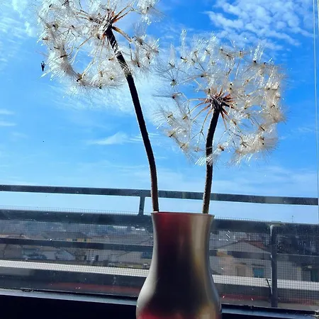 Dandelion Stazione Fs Apartment *