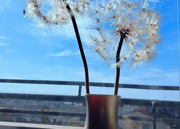 Dandelion Stazione Fs Апартаменты *