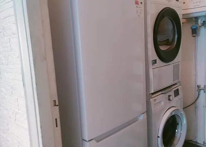 Dandelion Stazione Fs *