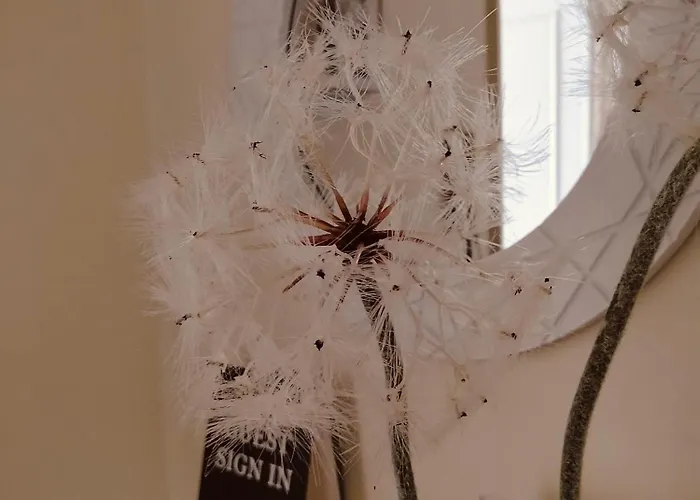 Dandelion Stazione Fs Апартаменти