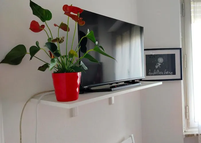 Апартаменти Dandelion Stazione Fs *